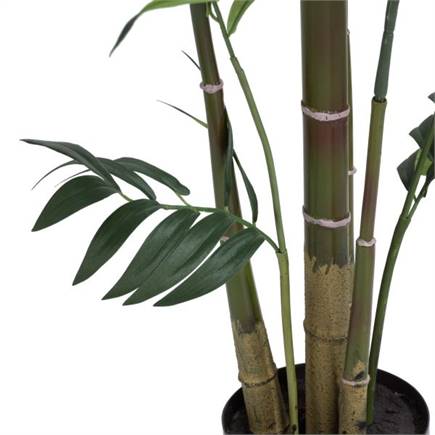 Coco Maison Kentia Palm plant H210cm