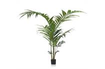 Coco Maison Kentia Palm plant H210cm accessoire