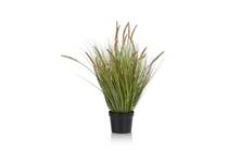 Coco Maison Pennisetum Grass plant H99cm accessoire