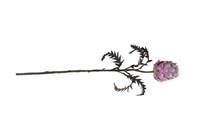 Coco Maison Protea Spray H63cm accessoire
