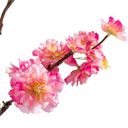 Coco Maison Cherry blossom spray H120cm