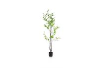 Coco Maison Tropaeolum kunstplant H210cm accessoire
