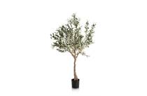 Coco Maison Olive Tree H150cm kunstplant accessoire