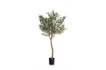 Coco Maison Olive Tree H180cm kunstplant accessoire