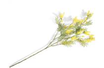Coco Maison Mimosa Branch H110cm kunstbloem accessoire