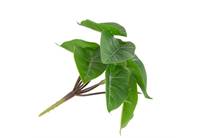 Coco Maison Anthurium Mini Bush H13cm kunstbloem accessoire