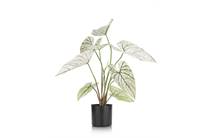 Coco Maison Caladium H60cm kunstplant accessoire