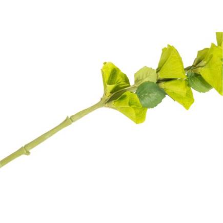 Coco Maison Molucella Spray H105cm kunstbloem