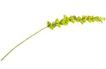 Coco Maison Molucella Spray H105cm kunstbloem accessoire