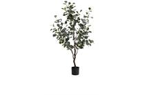 Coco Maison Eucalyptus Tree kunstplant H140cm accessoire