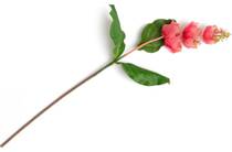 Coco Maison Medinilla Spray kunstbloem H110cm accessoire