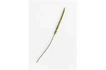 Coco Maison Donkey Tail kunstbloem H86cm 