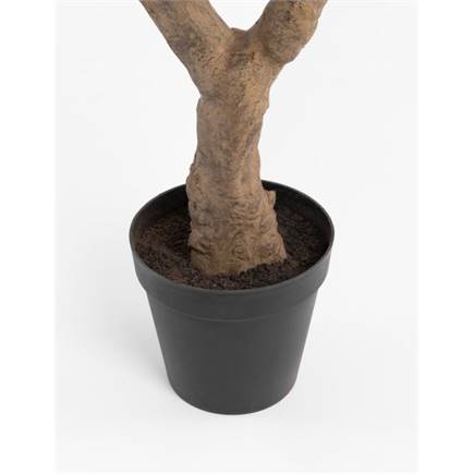 Coco Maison Eucalyptus Tree kunstplant H240cm
