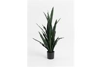 Coco Maison Sansevieria kunstplant H115cm 