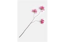 Coco Maison COCOMAISON  cleome spray kunstbloem