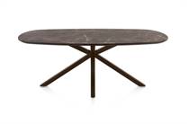 Henders en Hazel CALETTA ronde tafel Eetkamertafel ovaal 210 x 100 cm. - hpl primo laminato blad - centrale kruispoot steelbrown Middenbruin