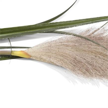 Henders en Hazel Pampus Grass kunstbloem H120cm