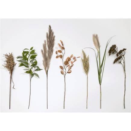 Henders en Hazel Pampus Grass kunstbloem H120cm