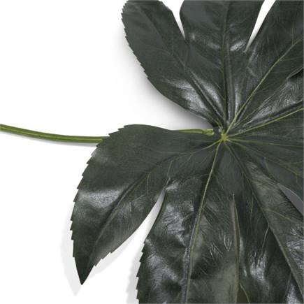 Henders en Hazel Fatsia Leaf kunstbloem H55cm