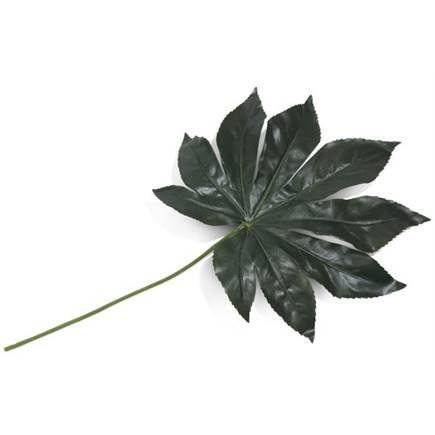 Henders en Hazel Fatsia Leaf kunstbloem H55cm