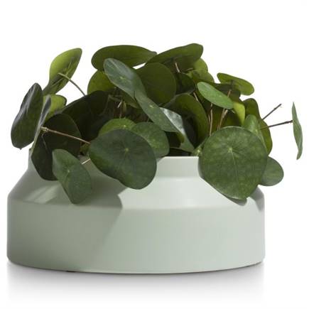 Henders en Hazel Leo pot S H13cm