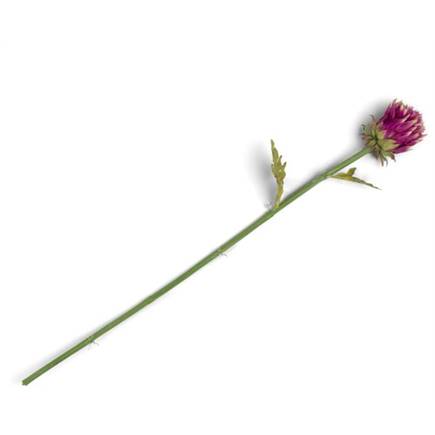 Henders en Hazel Artichoke Stem H80cm