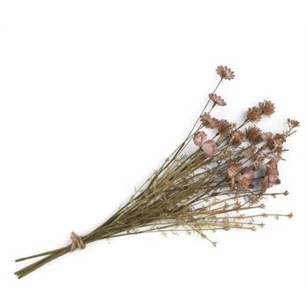 Henders en Hazel Dry Flower Bouquet H57cm