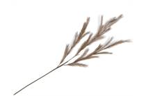 Henders en Hazel COCOMAISON  Feather Spray H130cm Bruin
