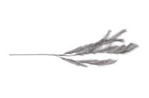 Henders en Hazel COCOMAISON  Feather Spray H130cm Grijs