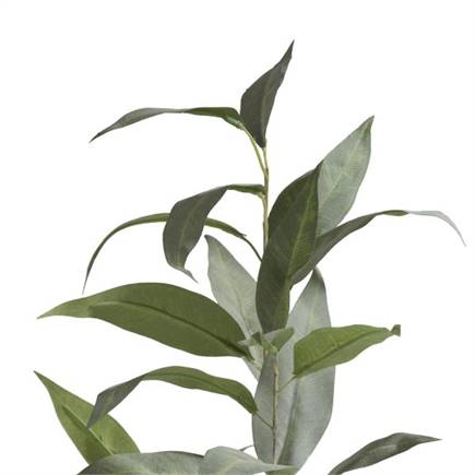 Henders en Hazel Eucalypthus Spray H93cm