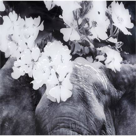 Henders en Hazel Flower Elephant print 100x68cm