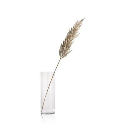 Henders en Hazel Pampas Grass Spray H115cm Cremekleurig