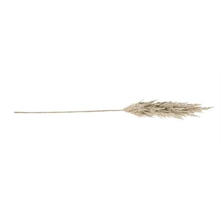 Henders en Hazel Pampas Grass Spray H115cm Cremekleurig