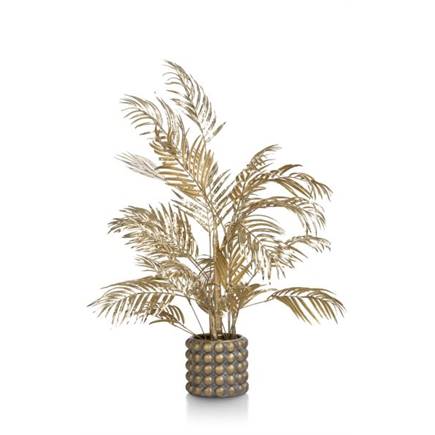 Henders en Hazel Areca Palm plant H105cm