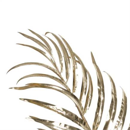Henders en Hazel Areca Palm plant H105cm