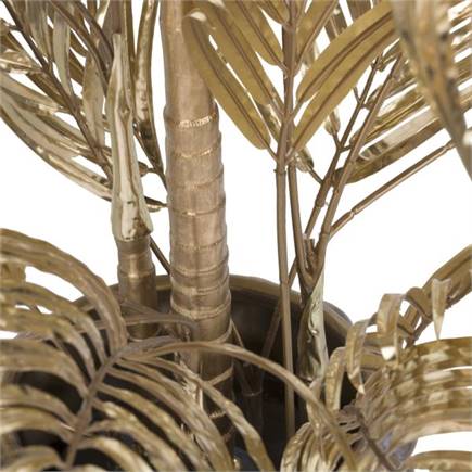 Henders en Hazel Areca Palm plant H105cm