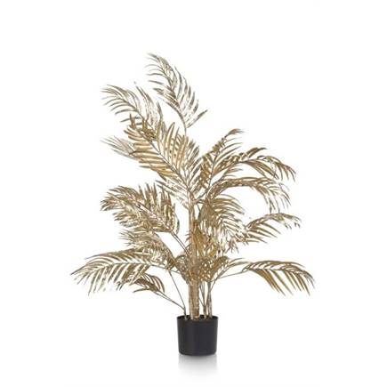 Henders en Hazel Areca Palm plant H105cm