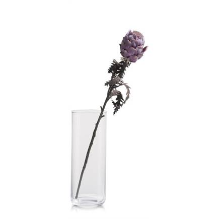 Henders en Hazel Protea Spray H63cm