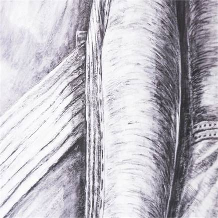 Henders en Hazel Pointes print 200x150cm