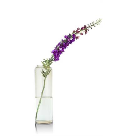Henders en Hazel Delphinium XL Spray H130cm