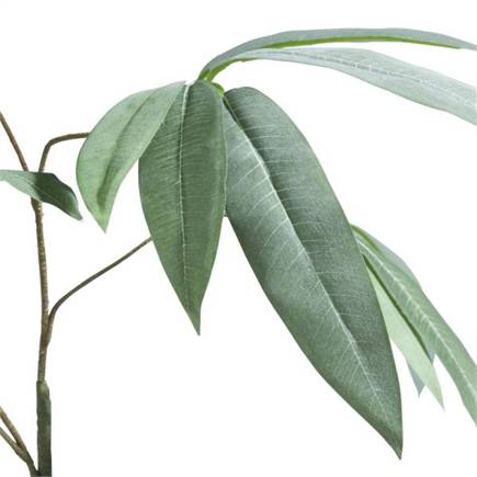 Henders en Hazel Eucalyptus branch H95cm