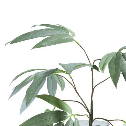 Henders en Hazel Eucalyptus branch H95cm