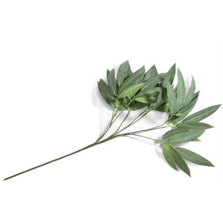 Henders en Hazel Eucalyptus branch H95cm
