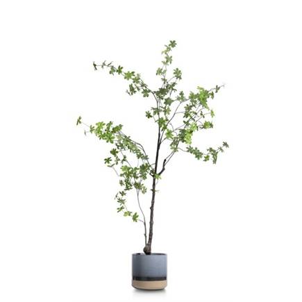 Henders en Hazel Indus bloempot H19 cm