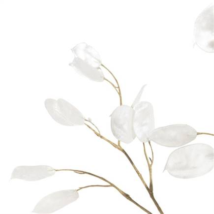 Henders en Hazel Lunaria kunstbloem H92cm