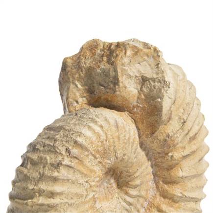 Henders en Hazel Seine beeld H38cm