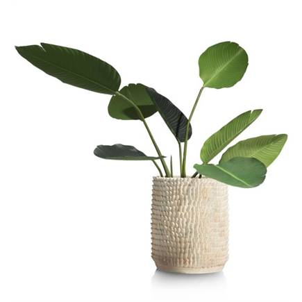 Henders en Hazel Helga pot H34cm