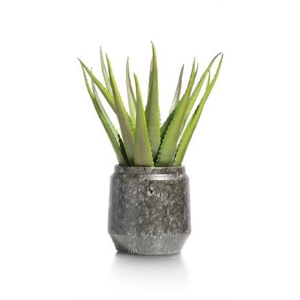 Henders en Hazel Dalila pot H20cm Zwart