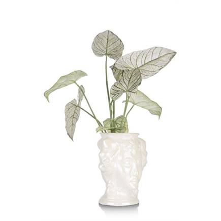 Henders en Hazel Lady vaas H30,5cm