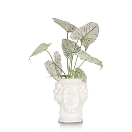 Henders en Hazel Lady vaas H30,5cm
